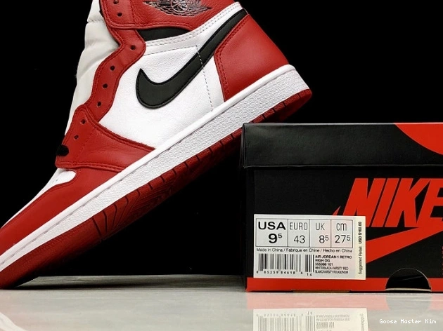 Air High Retro OG 